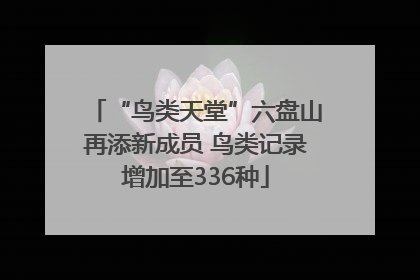 “鸟类天堂”六盘山再添新成员 鸟类记录增加至336种