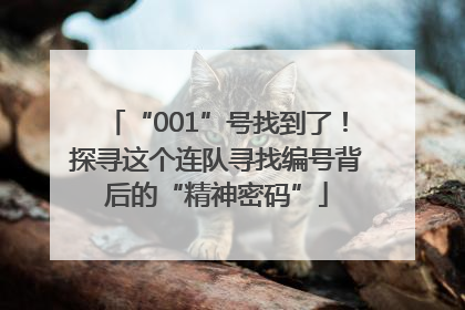 “001”号找到了！探寻这个连队寻找编号背后的“精神密码”