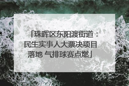 珠晖区东阳渡街道：民生实事人大票决项目落地 气排球赛点燃