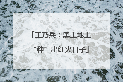 王乃兵：黑土地上“种”出红火日子