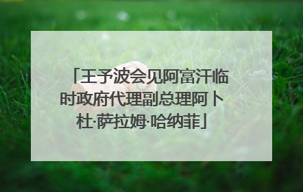 王予波会见阿富汗临时政府代理副总理阿卜杜·萨拉姆·哈纳菲