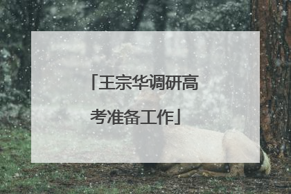 王宗华调研高考准备工作