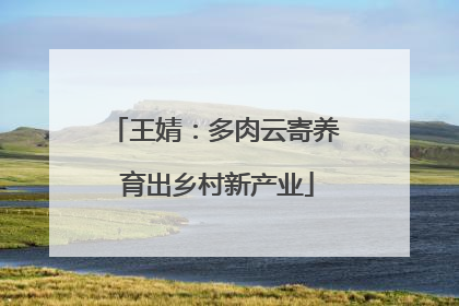 王婧：多肉云寄养 育出乡村新产业