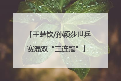 王楚钦/孙颖莎世乒赛混双“三连冠”