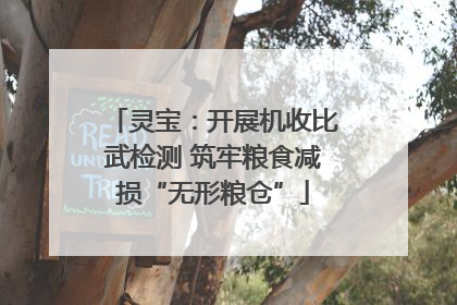 灵宝：开展机收比武检测 筑牢粮食减损“无形粮仓”