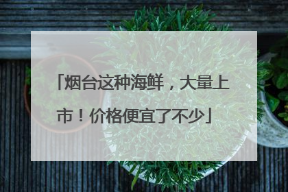 烟台这种海鲜，大量上市！价格便宜了不少
