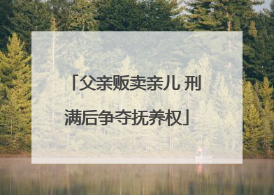 父亲贩卖亲儿 刑满后争夺抚养权