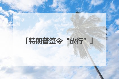 特朗普签令“放行”