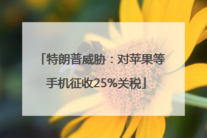 特朗普威胁：对苹果等手机征收25%关税