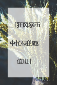 狂风暴雨中忙碌的赵值班