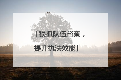 狠抓队伍督察，提升执法效能