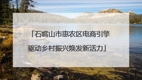 石嘴山市惠农区电商引擎驱动乡村振兴焕发新活力