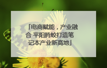 电商赋能，产业融合 平阳腾蛟打造笔记本产业新高地