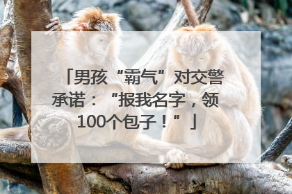 男孩“霸气”对交警承诺：“报我名字，领100个包子！”