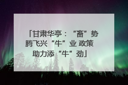 甘肃华亭：“畜”势腾飞兴“牛”业 政策助力添“牛”劲