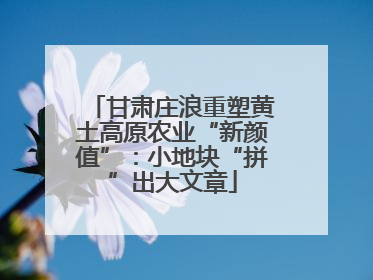 甘肃庄浪重塑黄土高原农业“新颜值”：小地块“拼”出大文章