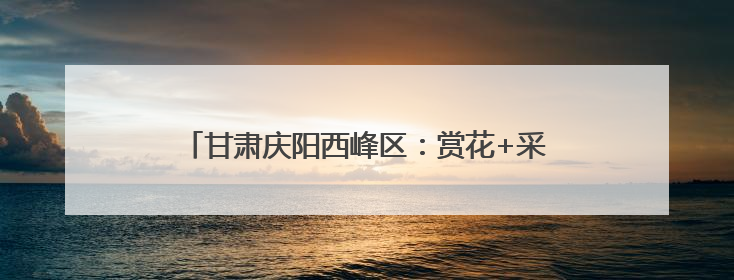 甘肃庆阳西峰区：赏花+采摘 解锁乡村旅游新体验