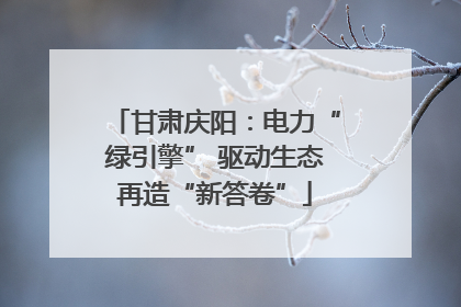 甘肃庆阳：电力“绿引擎” 驱动生态再造“新答卷”