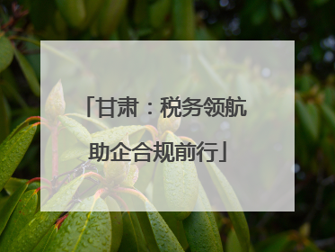 甘肃：税务领航 助企合规前行