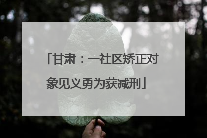 甘肃：一社区矫正对象见义勇为获减刑