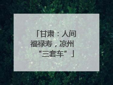甘肃：人间福禄寿，凉州“三套车”