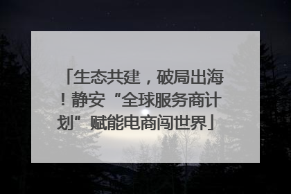 生态共建，破局出海！静安“全球服务商计划”赋能电商闯世界