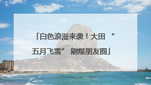 白色浪漫来袭！大田 “五月飞雪” 刷爆朋友圈