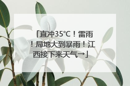 直冲35℃！雷雨！局地大到暴雨！江西接下来天气→