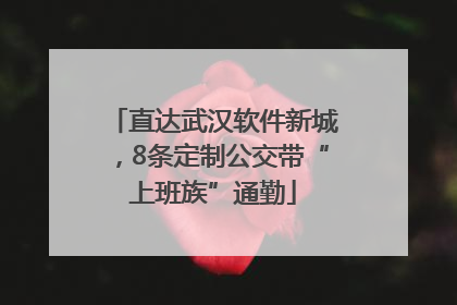 直达武汉软件新城，8条定制公交带“上班族”通勤