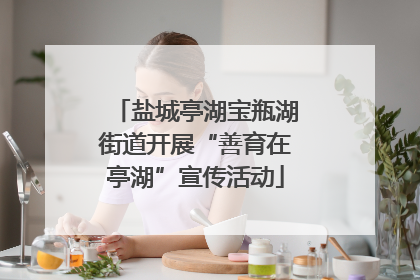 盐城亭湖宝瓶湖街道开展“善育在亭湖”宣传活动