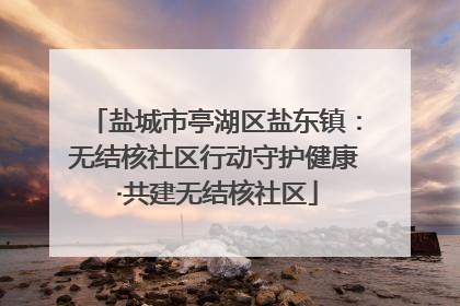 盐城市亭湖区盐东镇：无结核社区行动守护健康 ·共建无结核社区