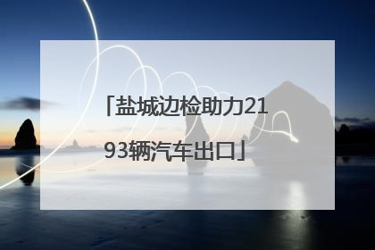 盐城边检助力2193辆汽车出口