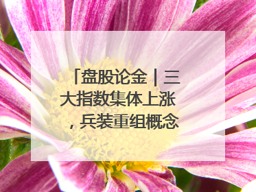 盘股论金｜三大指数集体上涨，兵装重组概念遥遥领先
