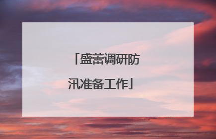 盛蕾调研防汛准备工作