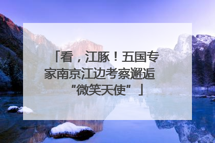 看，江豚！五国专家南京江边考察邂逅“微笑天使”