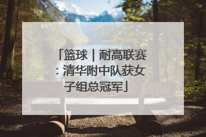 篮球｜耐高联赛：清华附中队获女子组总冠军