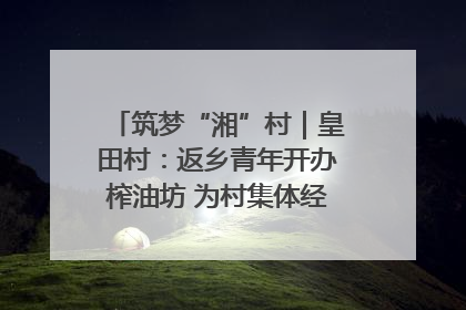 筑梦“湘”村｜皇田村：返乡青年开办榨油坊 为村集体经济“加油”