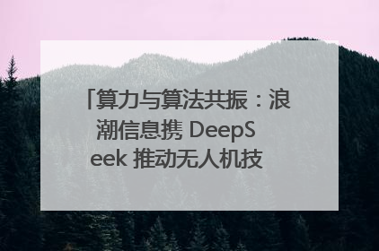 算力与算法共振：浪潮信息携 DeepSeek 推动无人机技术在舟山落地