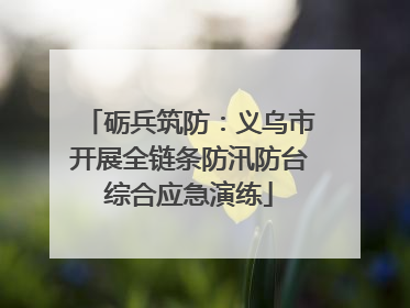 砺兵筑防：义乌市开展全链条防汛防台综合应急演练