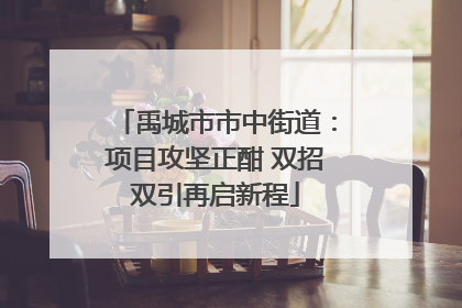 禹城市市中街道：项目攻坚正酣 双招双引再启新程