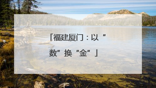 福建厦门：以“数”换“金”