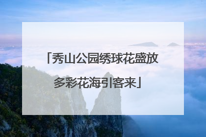 秀山公园绣球花盛放 多彩花海引客来