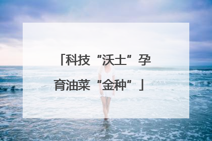 科技“沃土”孕育油菜“金种”
