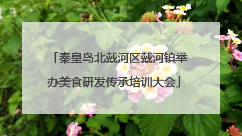 秦皇岛北戴河区戴河镇举办美食研发传承培训大会