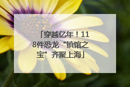 穿越亿年！118件恐龙“镇馆之宝”齐聚上海
