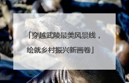 穿越武陵最美风景线，绘就乡村振兴新画卷