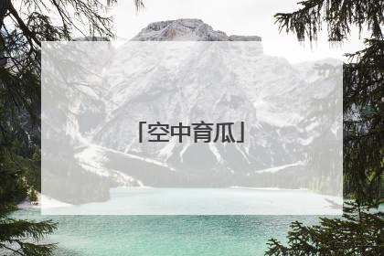 空中育瓜