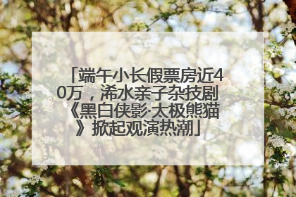 端午小长假票房近40万，浠水亲子杂技剧《黑白侠影·太极熊猫》掀起观演热潮