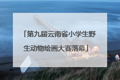 第九届云南省小学生野生动物绘画大赛落幕