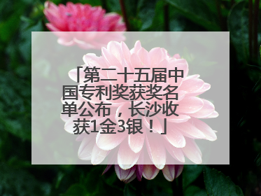 第二十五届中国专利奖获奖名单公布，长沙收获1金3银！
